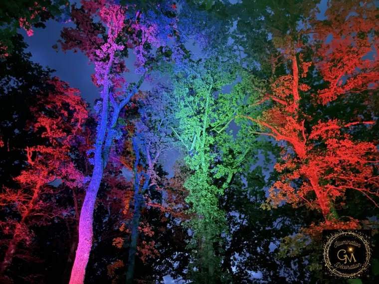 Mise en lumière multicolore 