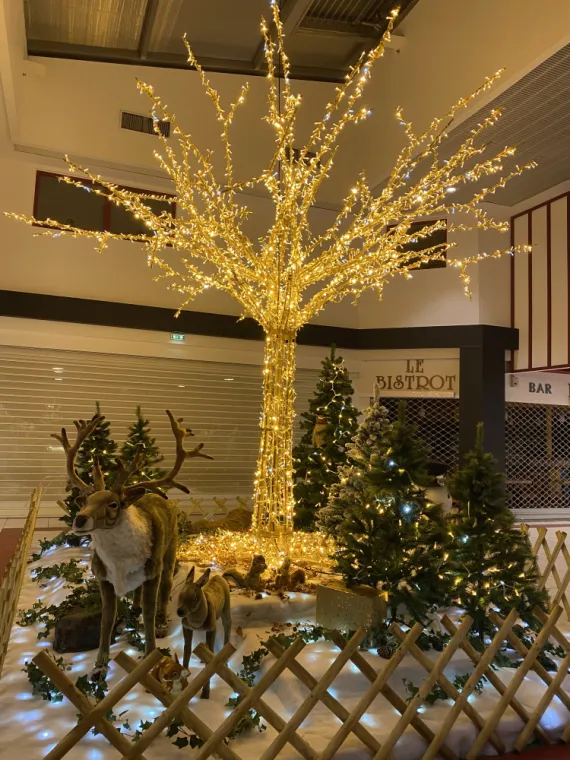 Décoration lumineuse Noël