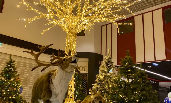 Décorations de noël, magasin, GM Illumination Décoration